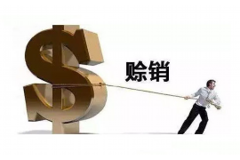 泸州工资清欠服务